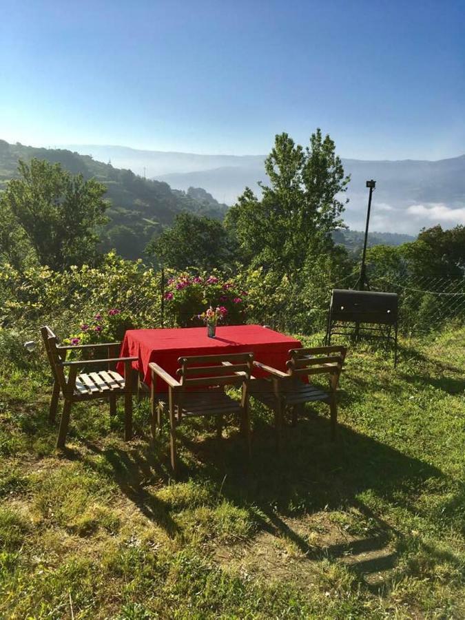 Woodpecker Yurt Hotel Santa Cruz do Douro Eksteriør billede